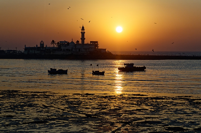 Bombay-Divers-009