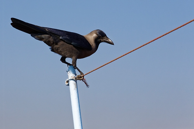 Bombay-Elephanta-004