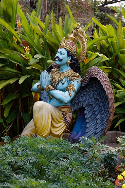 Bhubaneswar-Divers-003