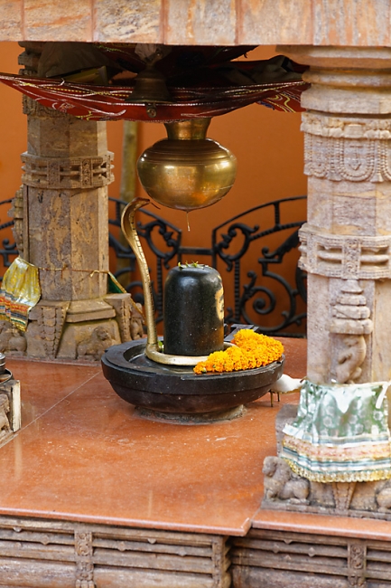 Bhubaneswar-Divers-004