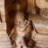 Badami-091