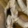 Aihole-048
