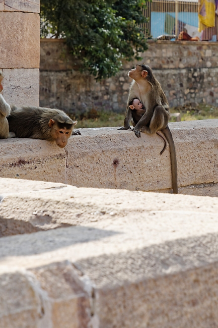 Aihole-061