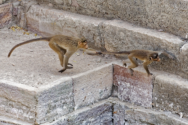 Aihole-064