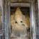 Hampi-Vijaynagara-062