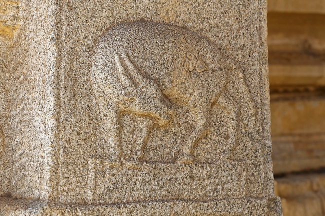 Hampi-Vijaynagara-130