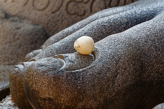 Sravanabelgola-048