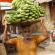 Mysore-Le marché-040