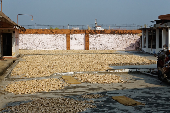Cochin-Promenade-005