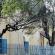 Cochin-Promenade-009