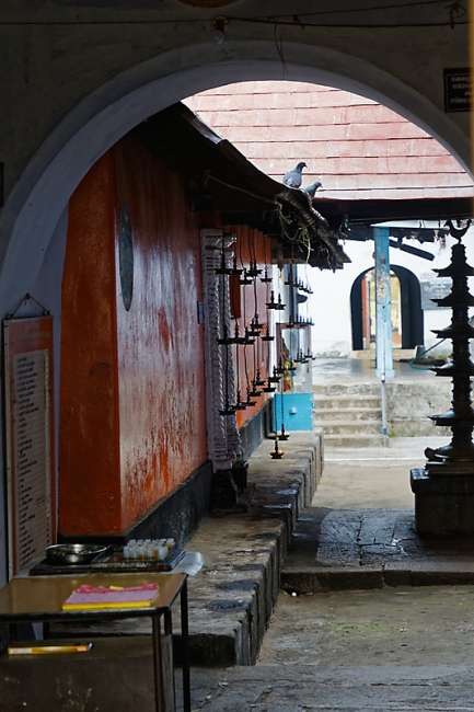 Cochin-Promenade-012