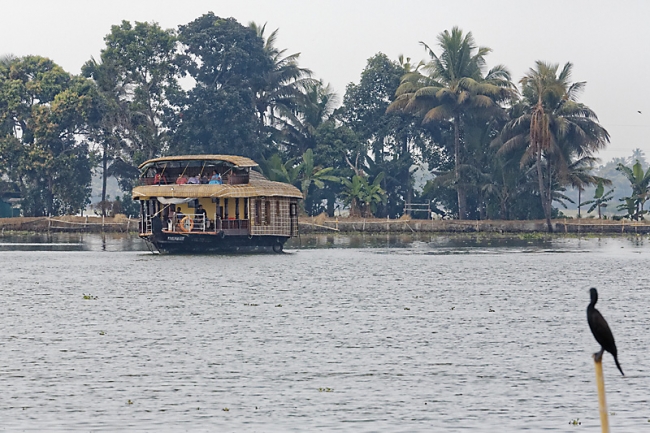 Backwaters-002