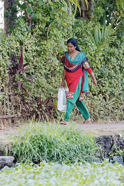 Backwaters-047