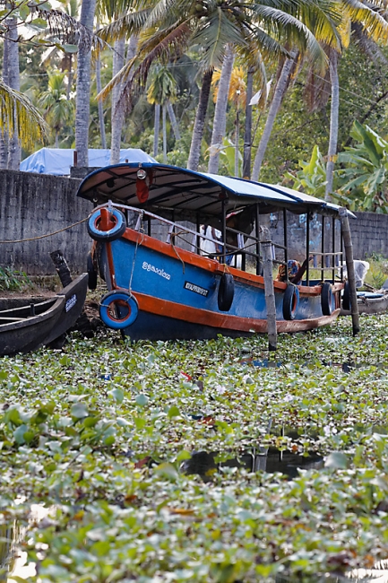 Backwaters-056