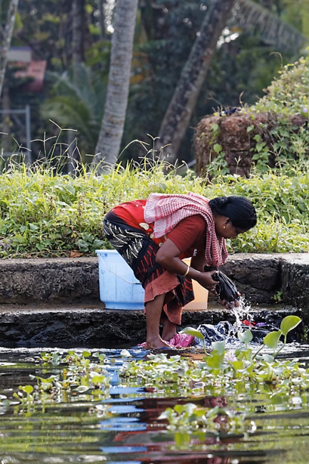 Backwaters-066