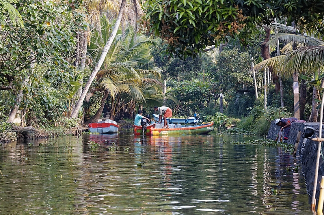 Backwaters-085