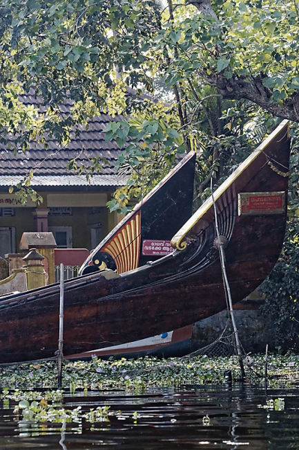 Backwaters-088