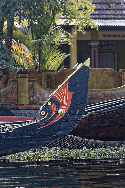 Backwaters-089