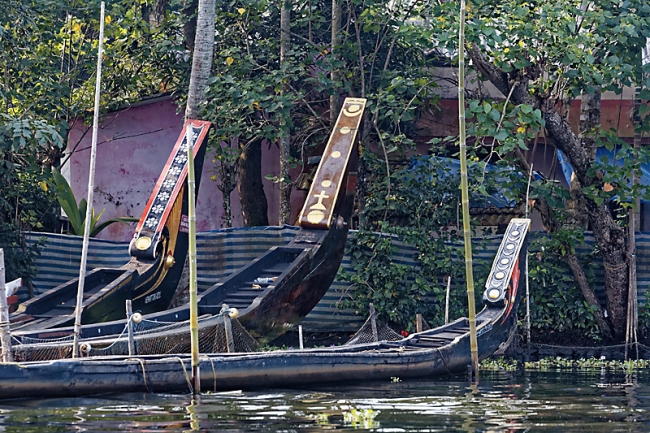 Backwaters-092