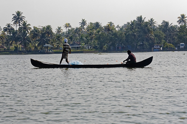 Backwaters-100
