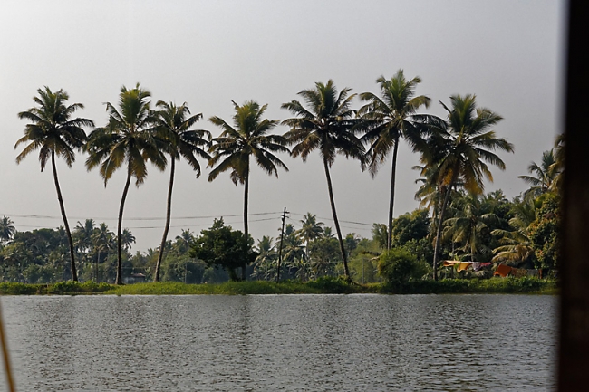 Backwaters-102