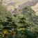 Munnar-004