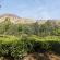 Munnar-006