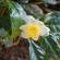 Munnar-008