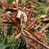 Munnar-012