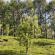 Munnar-016