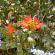 Munnar-018