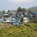 Munnar-024