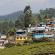 Munnar-027