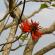 Munnar-030