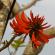 Munnar-031