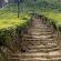 Munnar-035