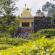 Munnar-038