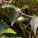Munnar-040