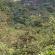 Munnar-045