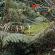 Munnar-057