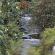 Munnar-063
