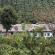 Munnar-066