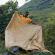 Munnar-078