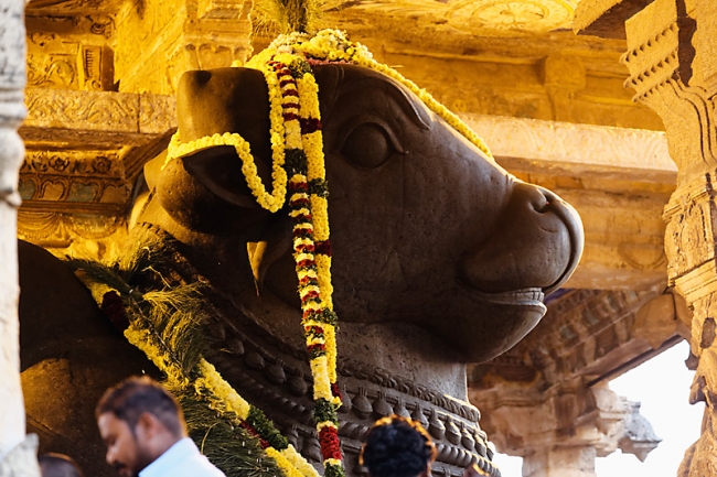 Tanjore-Puja-012