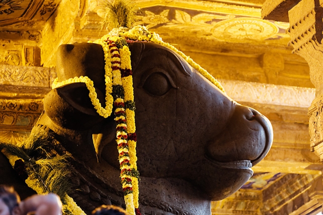 Tanjore-Puja-013
