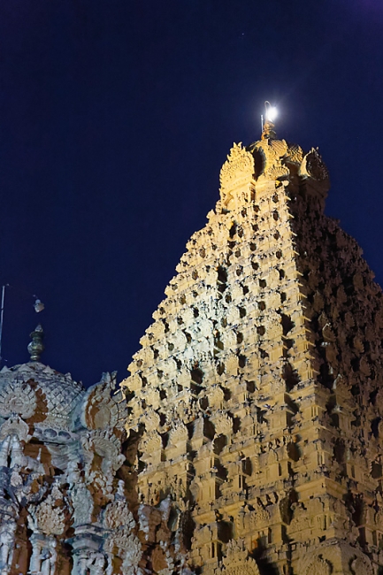 Tanjore-Puja-046