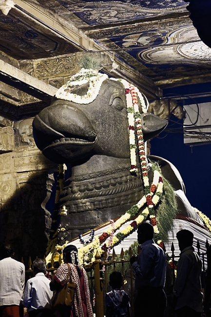 Tanjore-Puja-071