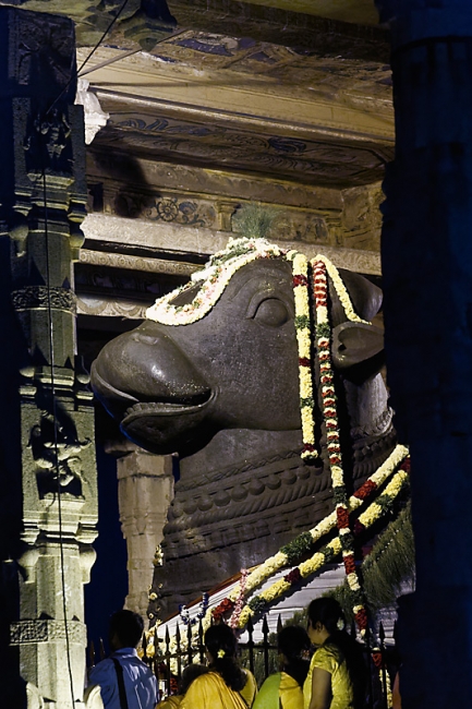 Tanjore-Puja-073
