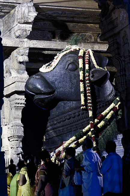 Tanjore-Puja-074