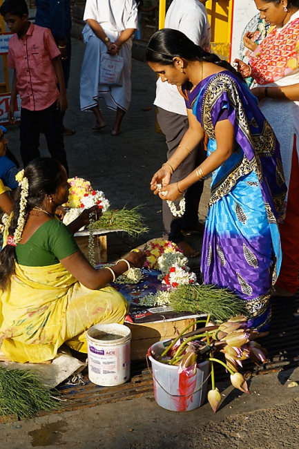 Pondichéry-052